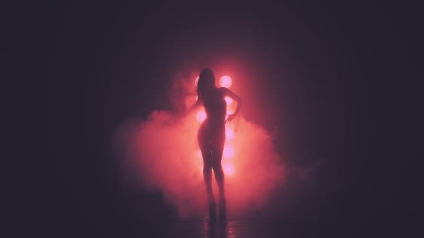 Σιλουέτα της χορεύτριας γυναίκας στον καπνό — Αρχείο Βίντεο