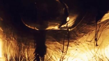 Alkol içecek bir bardak buz küpleri ile