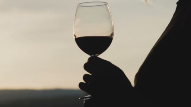 Молода жінка п'є червоне вино з келиха і дивиться на захід сонця — стокове відео
