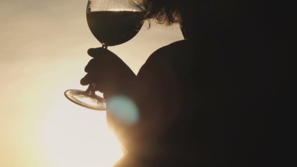 Jovem mulher bebendo vinho tinto de um copo e assistindo ao pôr do sol — Vídeo de Stock