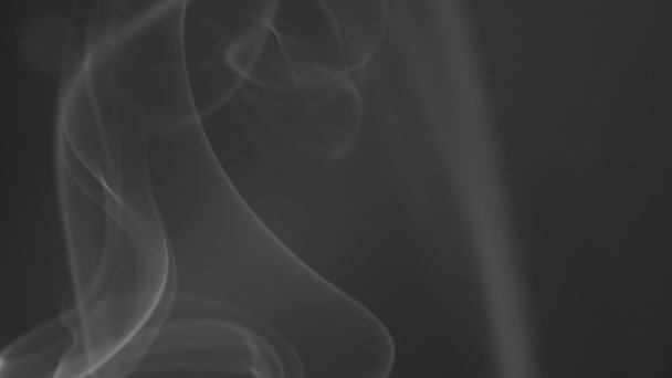Fumaça isolada no fundo preto — Vídeo de Stock