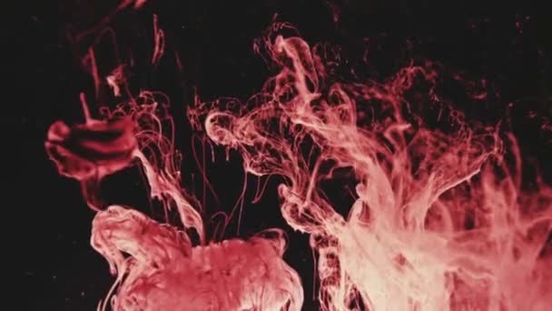 Абстрактный красный цвет чернил, текущий в воде — стоковое видео