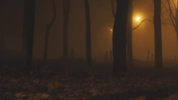 Mistig eng herfst nacht achtergrond — Stockvideo