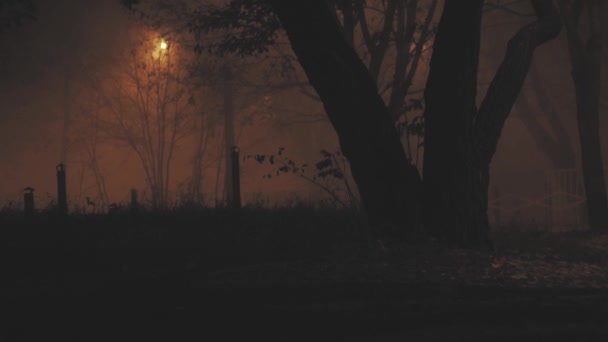 Foggy skrämmande höst natt bakgrund — Stockvideo