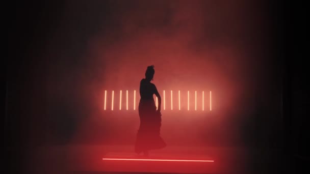 Flamenco Silhouette. Dancer in the dark room. Llight from behind. Smoke background. Slow motion — Stock Video