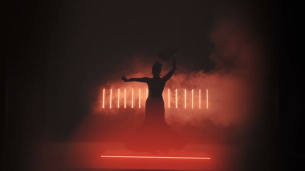 Flamenco Silhouette In Red Smoke — Stock video