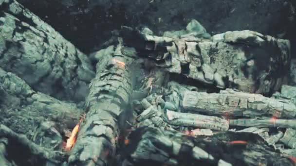 Bonefire,篝火中的火焰 — 图库视频影像