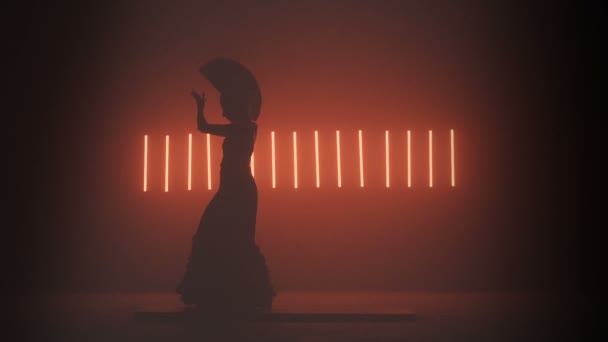 Flamenco Silhouette In Red Smoke — Stock Video