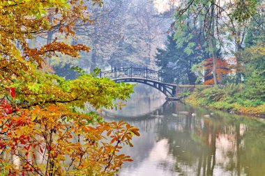 Sonbahar - sonbahar puslu Park'taki eski köprü