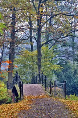 Sonbahar - sonbahar puslu Park'taki eski köprü