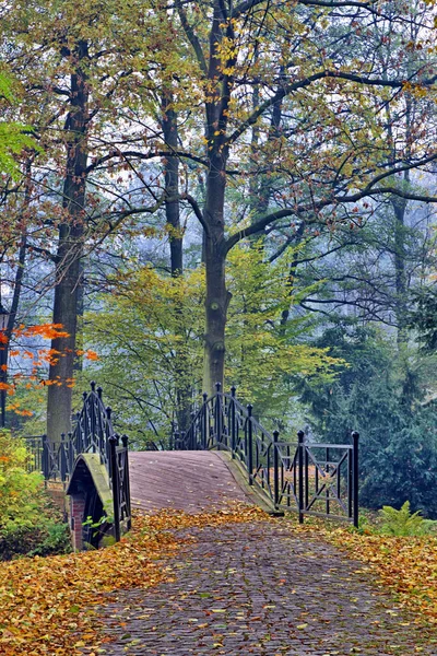 Höst Gammal Bro Höstens Dimmiga Park — Stockfoto