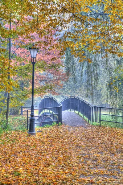 Höst Gammal Bro Höstens Dimmiga Park — Stockfoto