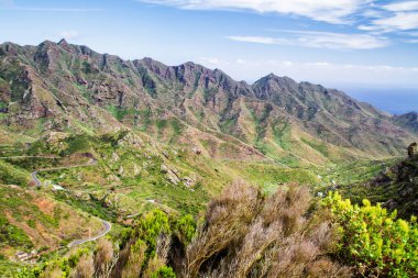 Anaga Dağları ve Ormanları, Tenerife, Kanarya Adaları, İspanya
