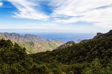 Anaga Dağları ve Ormanları, Tenerife, Kanarya Adaları, İspanya