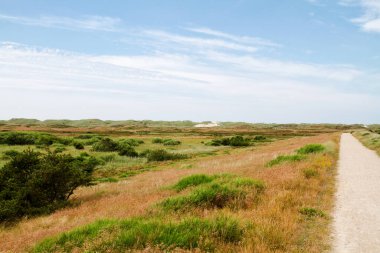 Kum tepeleri boyunca Danimarka 'da bisiklet yolu