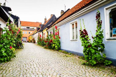 İsveç Köy Sokak Kapıları ve Bitkileri, Ystad