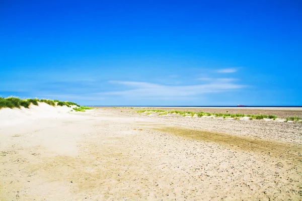 Northmost Point Denmark Which Called Grenen Branch — Stock Photo, Image
