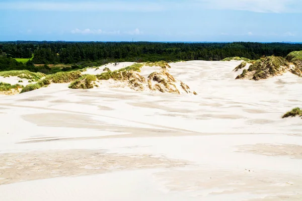 Rubjerg Knude Het Noordwesten Van Denemarken Met Uitzicht Duinen — Stockfoto