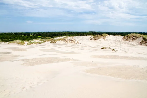 Rubjerg Knude North West Denmark Scenic View Dunes — Stock Photo, Image