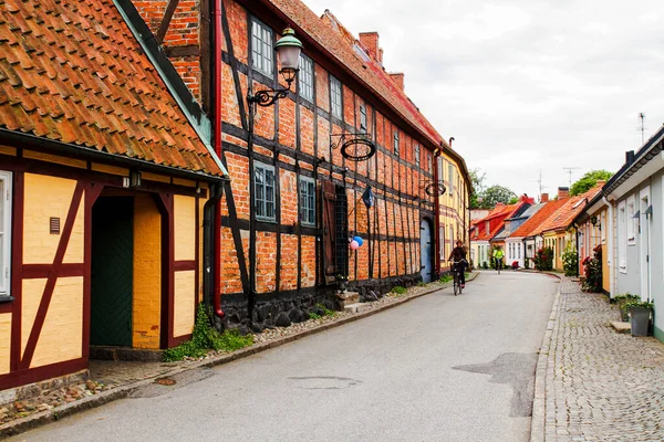 Ystad Sweden 2011年7月13日 スウェーデンの村 ドアと植物の路地 Ystad — ストック写真