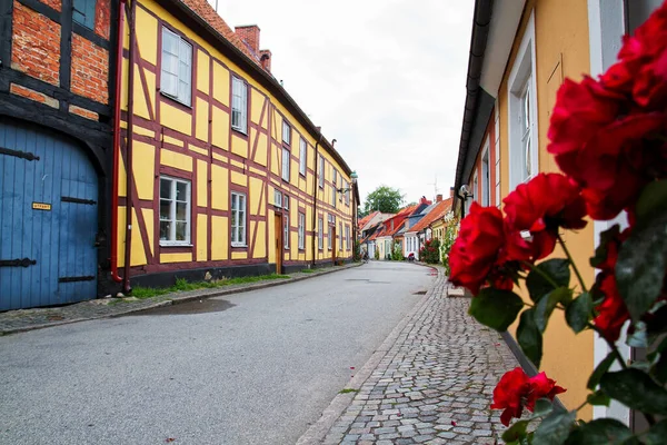 Ruelle Village Suédois Avec Portes Plantes Ystad — Photo