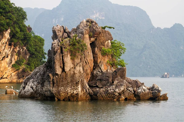 Popularne Skały Cliff Zatoce Halong Wietnam Azja Południowo Wschodnia Unesco — Zdjęcie stockowe
