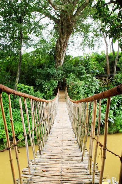 Puente Colgante Selva Laosiana — Foto de Stock