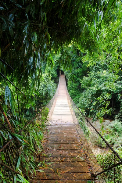 Puente Colgante Selva Laosiana — Foto de Stock