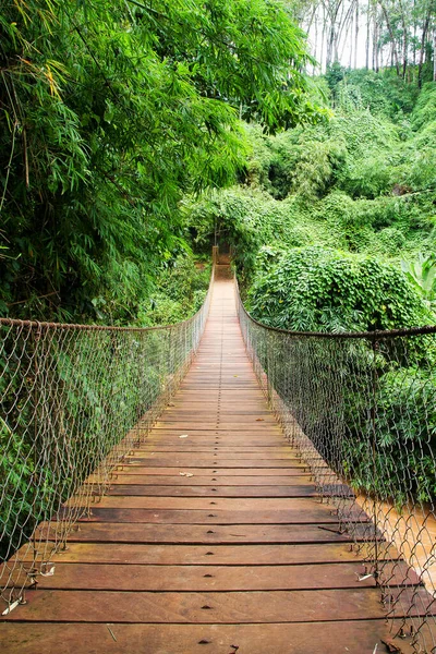 Puente Colgante Selva Laosiana — Foto de Stock