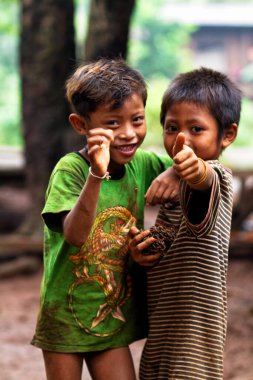 BOLAVEN PLATEAU, LAOS - 20 Eylül 2012 'de Laos, Bolaven Platosu' nda kimliği belirsiz çocuklar. Bolaven Platosu birçok çay ve kahve tarlasının kurulduğu bir bölgedir..
