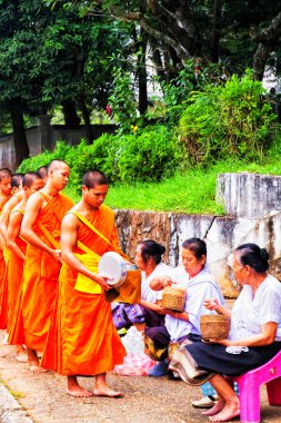 LUANG PRABANG, LAOS - SEPTEMBER15; Tanımlanamayan keşişler 15 Eylül 2012 'de bağış ve bağış toplamak için yürürler. Bu tören her gün sabah erkenden Luang Prabang 'da düzenlenir.