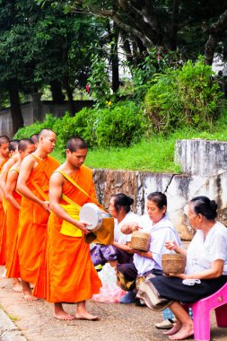 LUANG PRABANG, LAOS - SEPTEMBER15; Tanımlanamayan keşişler 15 Eylül 2012 'de bağış ve bağış toplamak için yürürler. Bu tören her gün sabah erkenden Luang Prabang 'da düzenlenir.