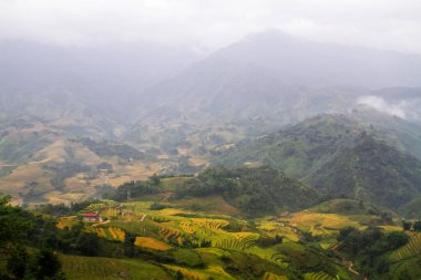 Sapa yakınlarındaki çeltik tarlaları, Vietnam
