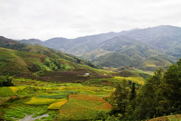 Reisfelder Der Nähe Von Sapa Vietnam — Stockfoto