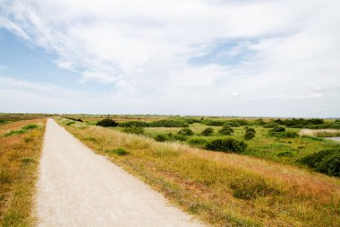 Kum tepeleri boyunca Danimarka 'da bisiklet yolu
