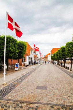 RIBE, DENMARK - 6 Temmuz 2011: Ribe, Danimarka 'da kaldırımlı cadde