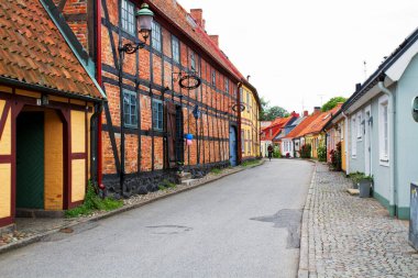 YSTAD, SWEDEN, 13 Temmuz 2011: İsveç Köy Sokak Kapıları ve Bitkileri, Ystad
