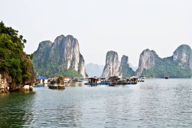 Halong Körfezi, Vietnam 'ın büyüleyici doğa manzarası