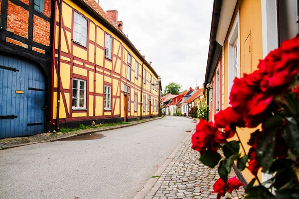 Ystad Schweden Juli 2011 Schwedische Dorfgasse Mit Türen Und Pflanzen — Stockfoto