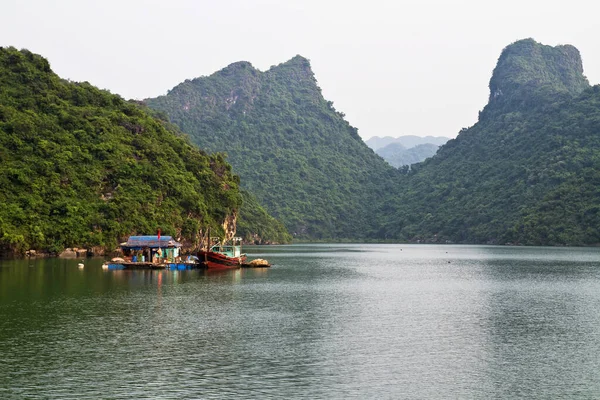 ベトナムのハロン湾の魅力的な自然景観 — ストック写真