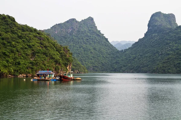 越南海龙湾迷人的自然景观 — 图库照片