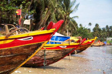 Mui Ne balıkçı köyünde geleneksel balıkçı tekneleri, Vietnam