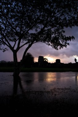 Kamboçya 'da Angkor Tapınağı
