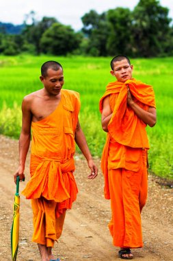 4000 ada, LAOS - 22 Eylül 2011 'de Laos' un 4000 adasındaki tapınağa doğru yürüyen keşişler. Geleneksel turuncu kostümlü Budist rahipler.