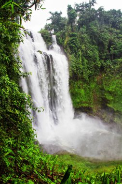 Şelale Paxe, Vietnam 'ın doğusunda..