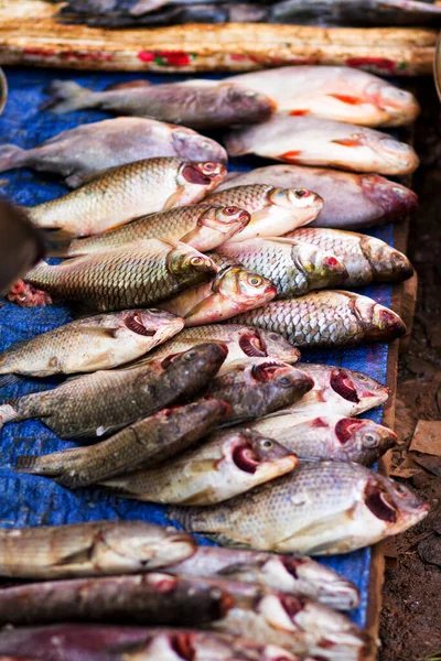 Silver fish for sale at a local market in Ratanakiri province, Cambodia.