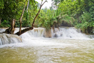 Luang Prabang yakınlarında şelale, Laos.