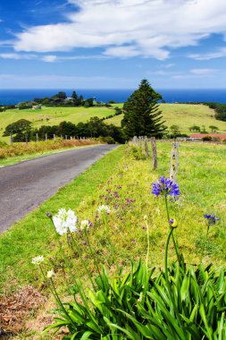 Avustralya 'da kırsal alan