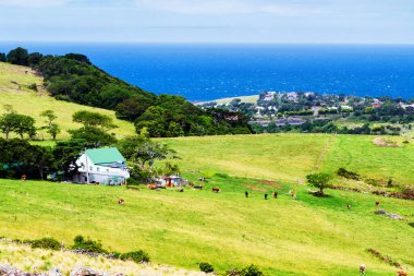 Avustralya 'da kırsal alan