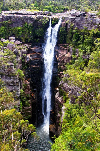 Carrington Falls New South Wales Australië — Stockfoto